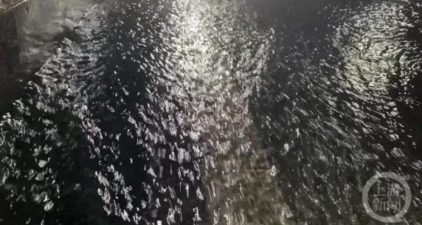 超警戒水位0.13米！“綦江2023年第1号洪水”已经形成