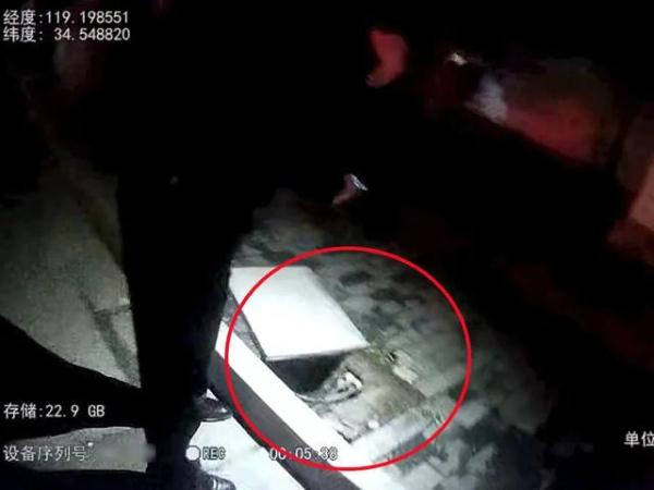 毛贼被抓,竟演绎了一番啼笑皆非的故事 毛贼被抓,竟演绎了一番啼笑皆非的故事