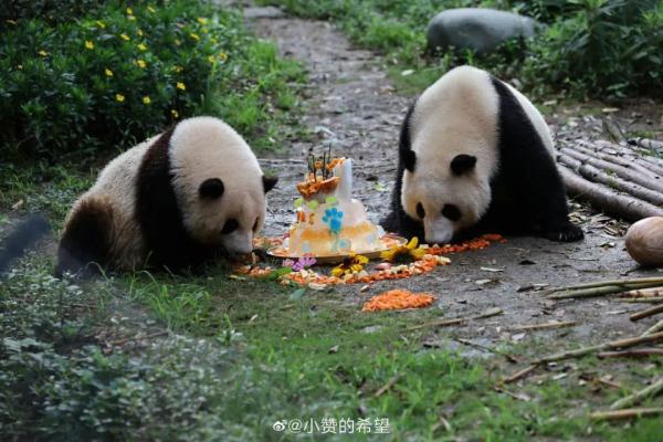 今天,三位顶流过生日! 今天,三位顶流过生日!