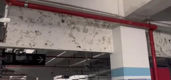 雾气蒸腾!沪一小区宛如“仙境”居民苦恼不堪 业主:摔了又摔 雾气蒸腾!沪一小区宛如“仙境”居民苦恼不堪 业主:摔了又摔