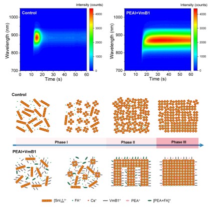 国际首次！锡基钙钛矿发光二极管效率提升至8.3%
