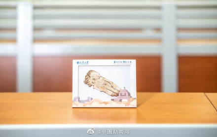 天津大学通知书内有帮扶县的当归 寓意亮了! 天津大学通知书内有帮扶县的当归 寓意亮了!