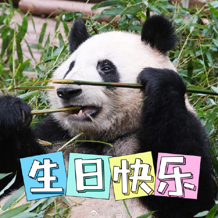 生日快乐！听说今天有三个小熊友过生日