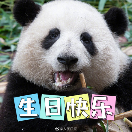 生日快乐！听说今天有三个小熊友过生日