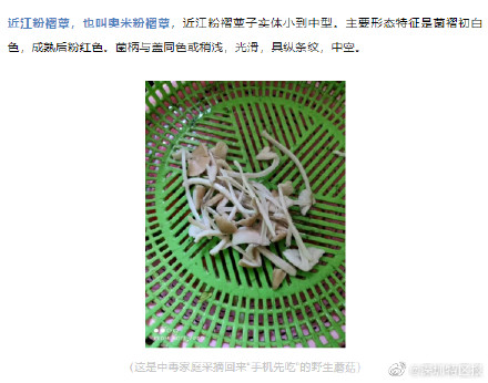 深圳一市民食用绿化带内毒蘑菇后中毒