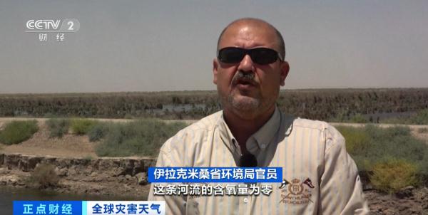 触目惊心！这里，河面漂浮成千上万条死鱼