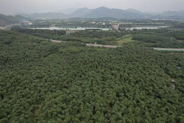 超60亿元大生意!螺蛳粉的“灵魂”竟被广东这个小镇拿捏了 超60亿元大生意!螺蛳粉的“灵魂”竟被广东这个小镇拿捏了