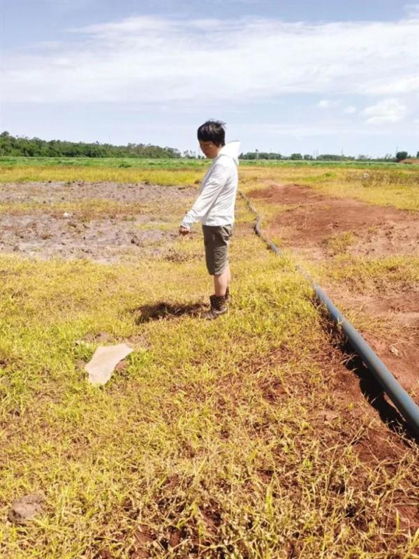 12头牛羊突然蹊跷死亡,村民:它们都去过这个地方 12头牛羊突然蹊跷死亡,村民:它们都去过这个地方