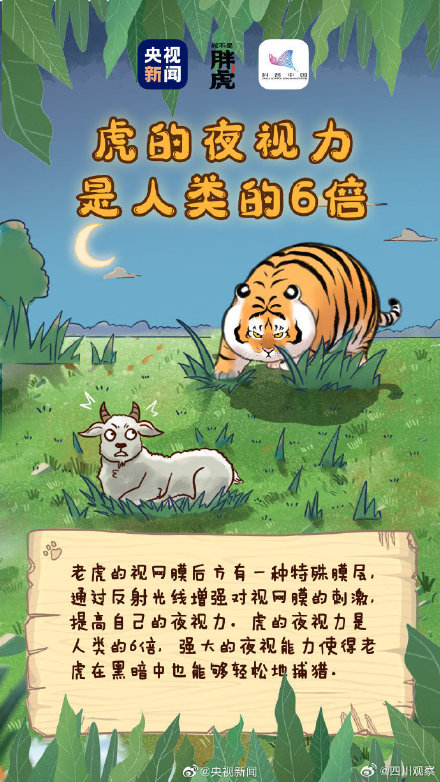 关于老虎还有哪些冷知识? 关于老虎还有哪些冷知识?