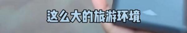 上海迪士尼，游客怒摔充电宝："6000多酒店住得起，缺这99吗？"