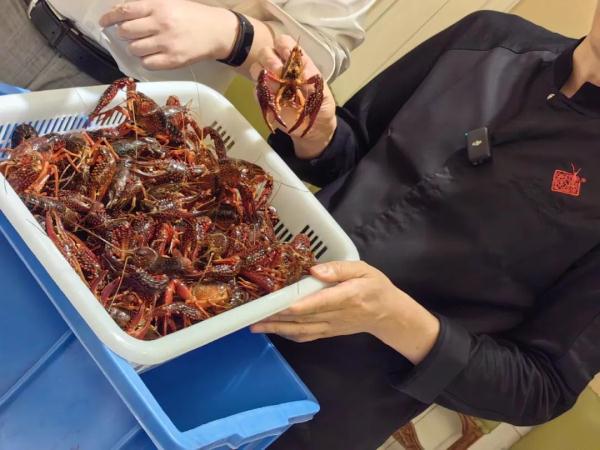 5斤小龙虾烧熟后变3斤？来看实测