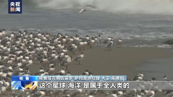 记者深入秘鲁渔港探访 当地民众拒绝日本排污入海