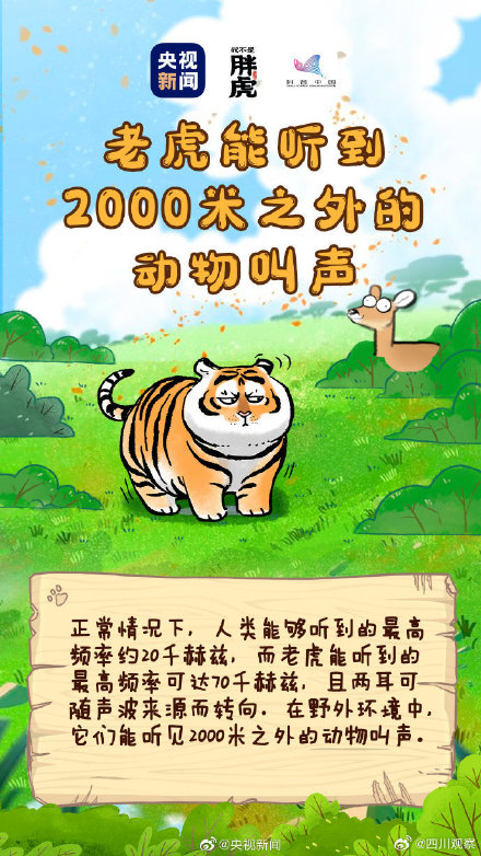 关于老虎还有哪些冷知识? 关于老虎还有哪些冷知识?