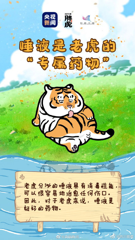 关于老虎还有哪些冷知识? 关于老虎还有哪些冷知识?