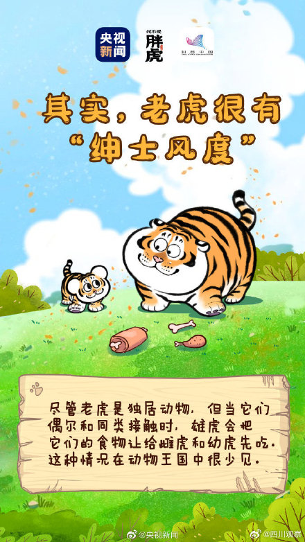 关于老虎还有哪些冷知识? 关于老虎还有哪些冷知识?