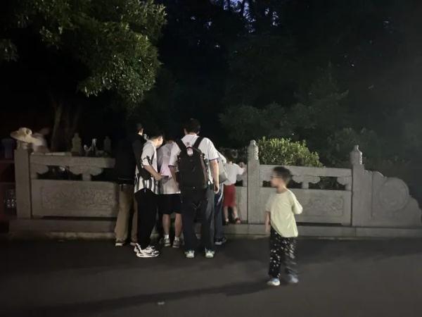 杭州进入萤火虫最佳观赏期！法喜寺就能看到