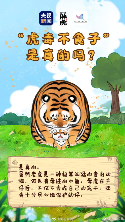 关于老虎还有哪些冷知识? 关于老虎还有哪些冷知识?