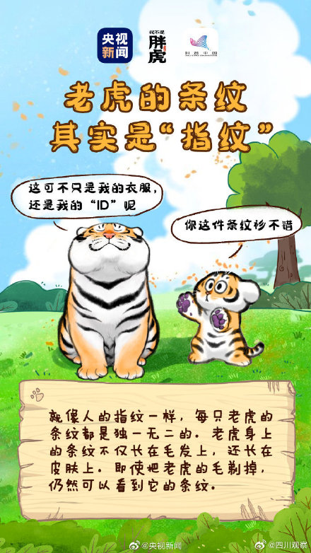 关于老虎还有哪些冷知识? 关于老虎还有哪些冷知识?