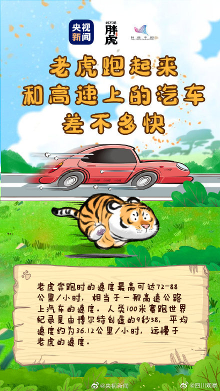 关于老虎还有哪些冷知识? 关于老虎还有哪些冷知识?