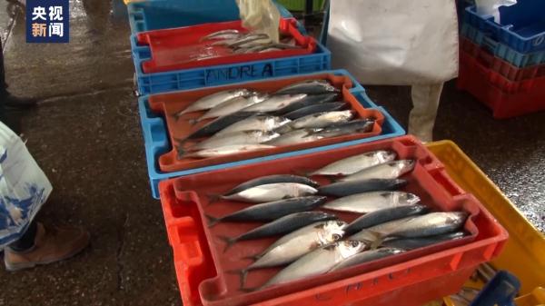 记者深入秘鲁渔港探访 当地民众拒绝日本排污入海