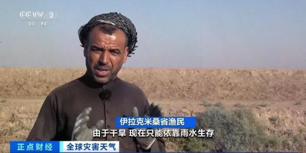 触目惊心！这里，河面漂浮成千上万条死鱼