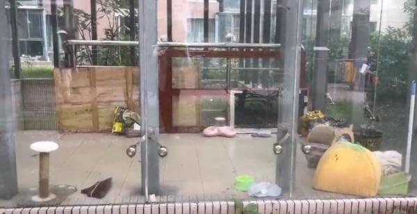 头皮发麻！沪一小区居民36℃恨不得长袖长裤！罪魁祸首是TA→