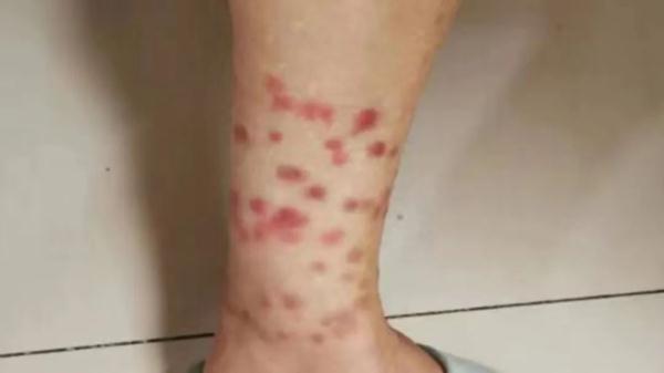 上海再启高温冲刺！然而，这个小区居民36℃天穿长袖长裤？