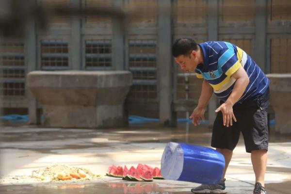 吃西瓜、喝绿豆汤、冲凉……动物避暑花样多