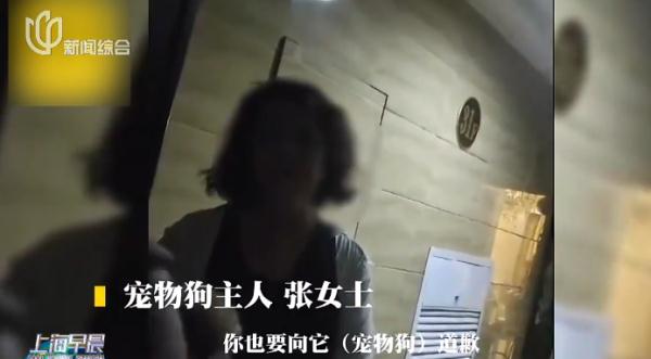 “法律方面能干过我算你赢!” 女子遛狗不拴绳还强迫老人向宠物犬道歉 “法律方面能干过我算你赢!” 女子遛狗不拴绳还强迫老人向宠物犬道歉