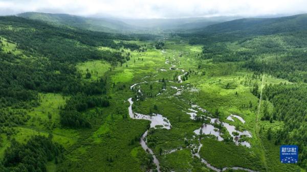 内蒙古阿尔山：夏日风光引游人