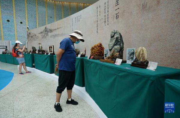 昆明:石博会开幕人气旺 昆明:石博会开幕人气旺