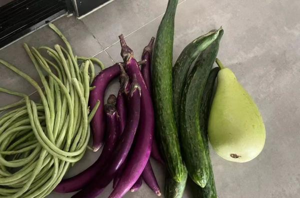 据说，浙江人最近的饭桌都长这样？有网友问：还要吃多久？