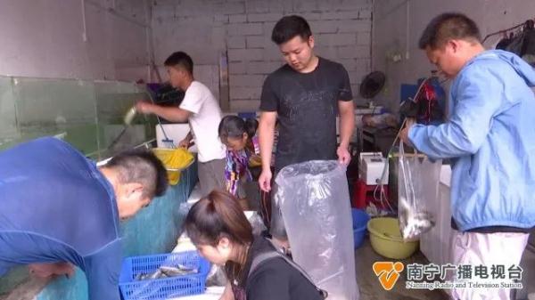 禁渔期结束!新鲜的河鲜价格如何? 禁渔期结束!新鲜的河鲜价格如何?