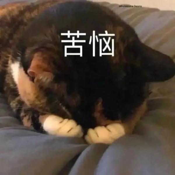 【实用知识】拒绝精神内耗！职场人总是“想太多”？试试这些办法