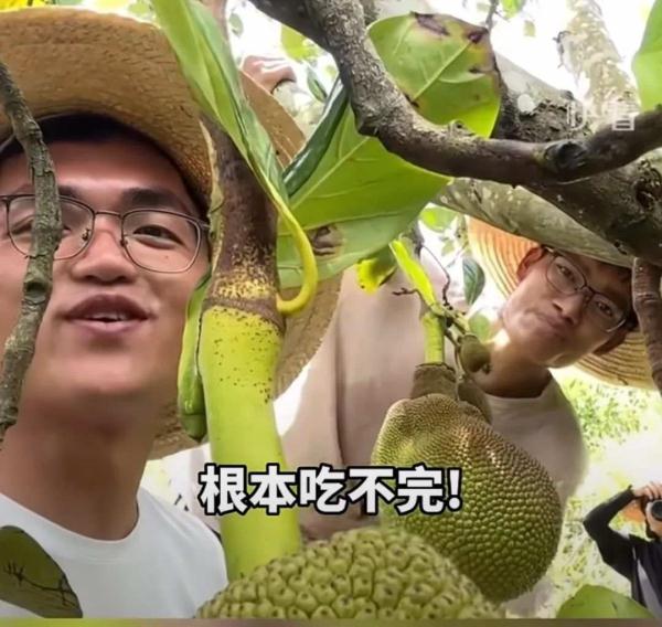 根本吃不完!招生“减”章变“加”章 网友:你俩把谁的毕设吃了 根本吃不完!招生“减”章变“加”章 网友:你俩把谁的毕设吃了