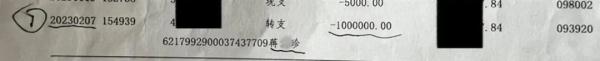 94岁阿婆自称遭保姆虐待，还被偷250万？警方介入