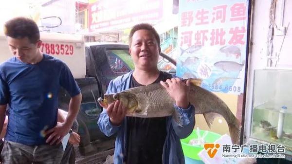 禁渔期结束!新鲜的河鲜价格如何? 禁渔期结束!新鲜的河鲜价格如何?