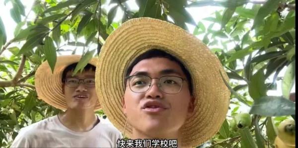 根本吃不完!招生“减”章变“加”章 网友:你俩把谁的毕设吃了 根本吃不完!招生“减”章变“加”章 网友:你俩把谁的毕设吃了