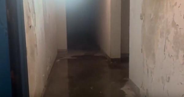 头皮发麻！沪一小区居民36℃恨不得长袖长裤！罪魁祸首是TA→