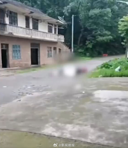 7旬老人为救17岁女孩当场遇害