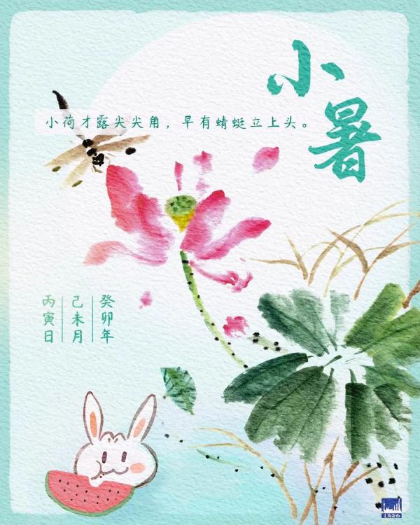 小暑已至，黄梅将退，伏天预警！夏花开，蟋蟀鸣，解暑的食物有哪些？