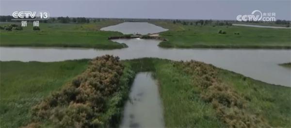 生态补水工作结束 黄河三角洲自然保护区湿地生态修复成效显著 生态补水工作结束 黄河三角洲自然保护区湿地生态修复成效显著