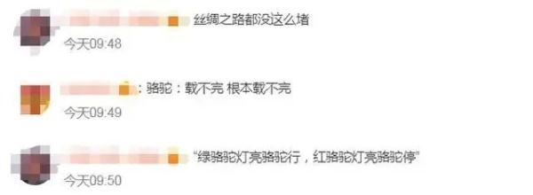 暑期来临，敦煌又双叒叕“堵骆驼”了