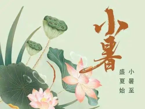 小暑至 盛夏始——二十四节气之小暑