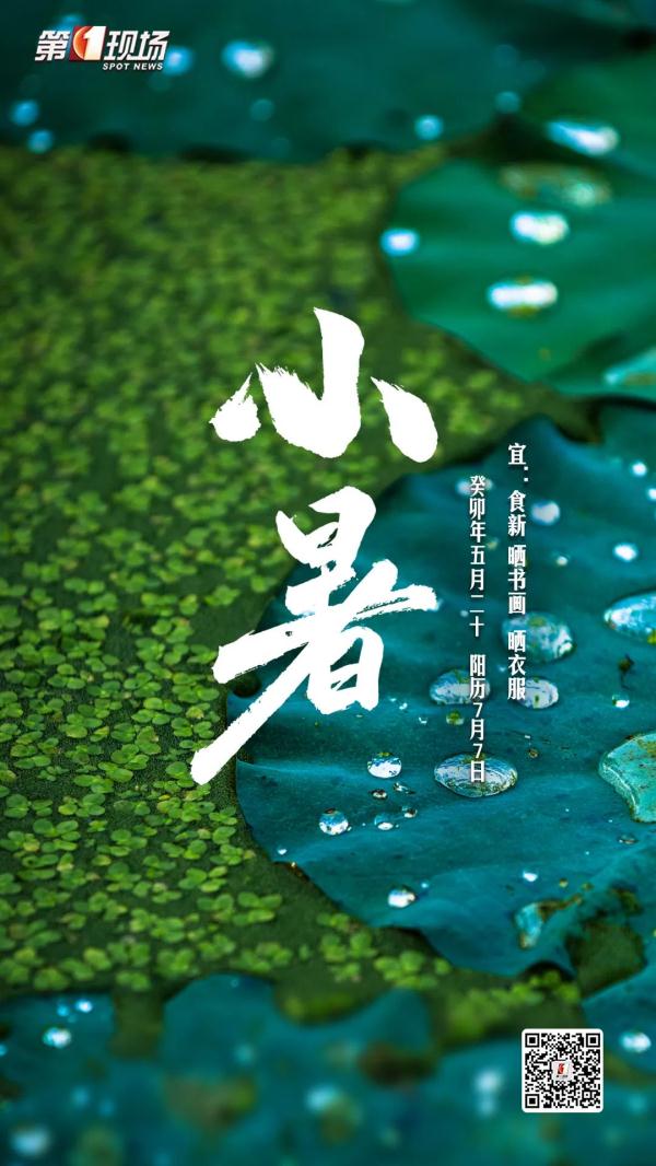 跟脸盆一样大!深圳一小区长满“灵芝”?有人立马摘回家... 跟脸盆一样大!深圳一小区长满“灵芝”?有人立马摘回家...