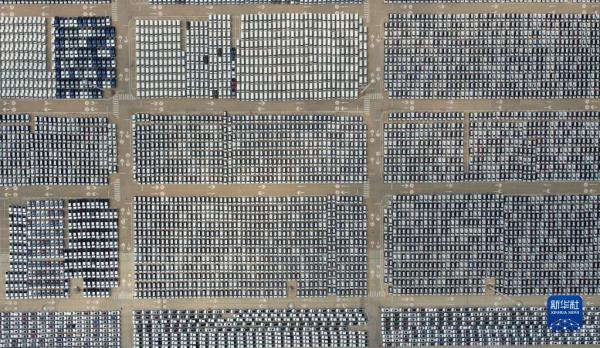 天津港上半年集装箱吞吐量创历史新高 天津港上半年集装箱吞吐量创历史新高