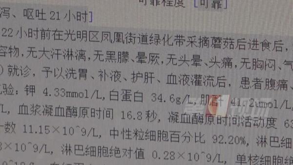 跟脸盆一样大!深圳一小区长满“灵芝”?有人立马摘回家... 跟脸盆一样大!深圳一小区长满“灵芝”?有人立马摘回家...