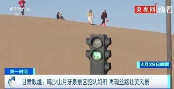 暑期来临，敦煌又双叒叕“堵骆驼”了