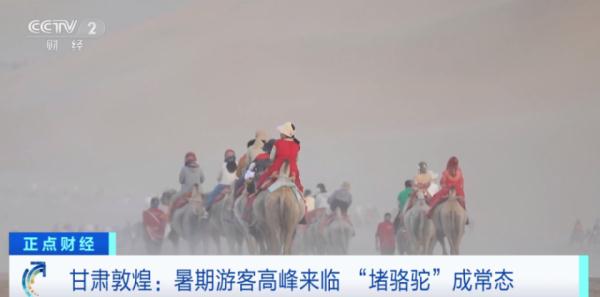 暑期来临，敦煌又双叒叕“堵骆驼”了