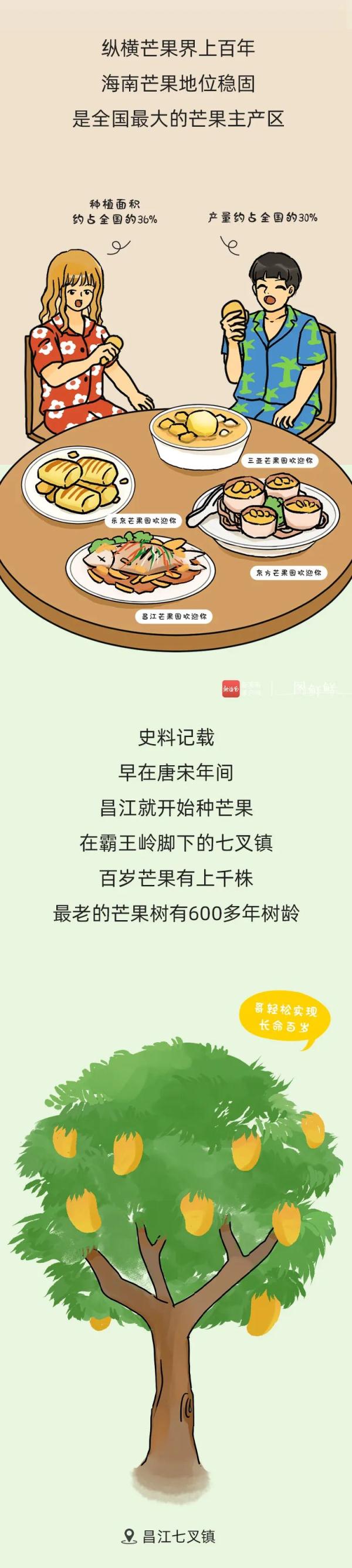 为什么吃芒果要蘸盐？海南人的回答“无法反驳”！